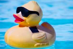 A Cute Little Toy Duck Wearing Sun Glasses Floating On The Pool.