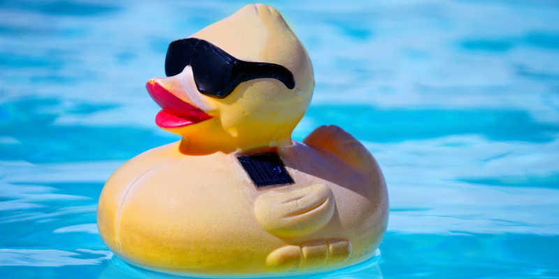 A Cute Little Toy Duck Wearing Sun Glasses Floating On The Pool.