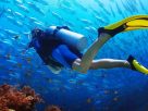 An Image Of A Female Scuba Diver In A Deep Sea Background.